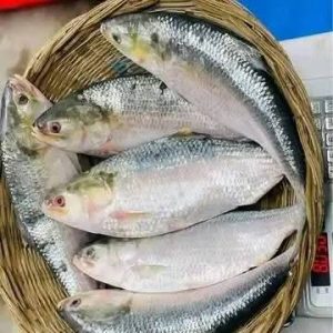 ৮ পিস মাছে ৫ কেজি  = ১৭০০ টাকা।